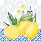 Lemon Lemon 1 Art Print