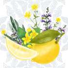 Lemon Lemon 2 Kitchen Print