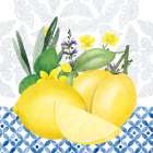 Lemon Lemon 3 Art Print