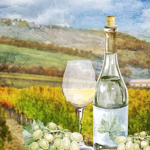 Vineyard View 2 Spirits Print