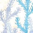 Seaweed Tone 3 Art Print