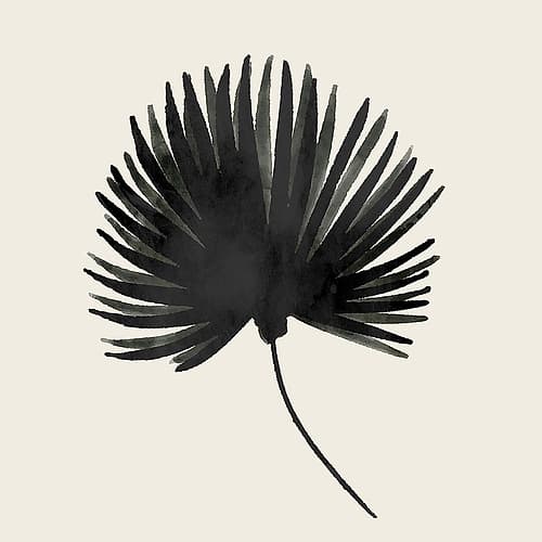 Fan Palm Beach Print