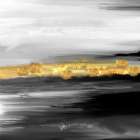 Gold River Art Print
