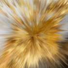 Light Art Print