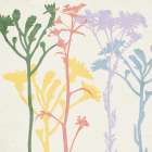 Spring Color 1 Botanical Print