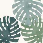 In The Shade 2 Botanical Print