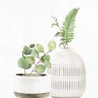 White Wash Vase 2 Botanical Print