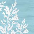 Blue Seaweed 1 Art Print