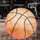 Sporting 2 Art Print