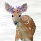 Baby Deer Art Print