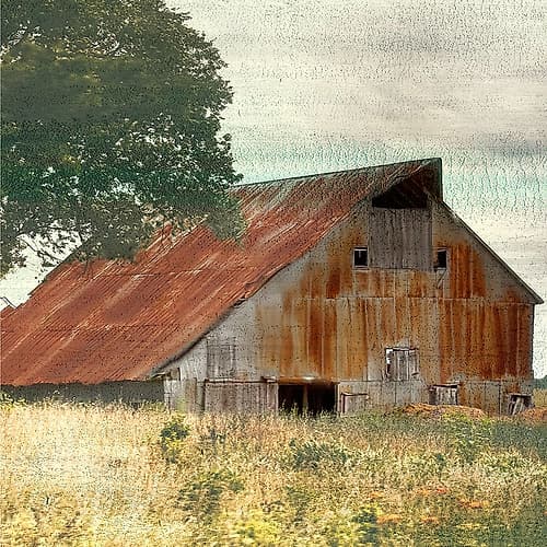On The Farm Art Print