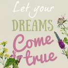 Dream Always 2 Art Print