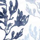 Seaweed Tone 1 V2 Coastal Print