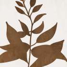 Pressed Leaf Silhouette 1 Art Print