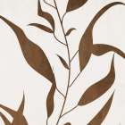 Pressed Leaf Silhouette 2 Art Print