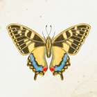 Spring Flight 2 Vintage Print