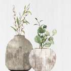 Wooden Vases 1 Botanical Print