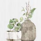 Wooden Vases 2 Botanical Print