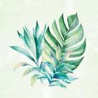My Palms 3 Botanical Print