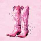 Lets Go Girls 3 Western Print