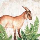 Farm Animals 3 Art Print