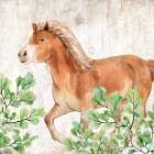 Farm Animals 6 Art Print