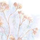Soft Stems 1 Art Print