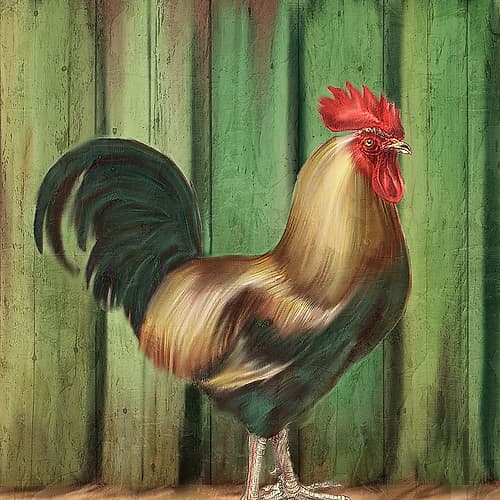 Rooster Fence Art Print