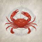 Crab Coastal Print