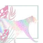 Iridescence Leopard 2 Art Print