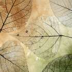 Imprint Leaves 3 Abstract Art Print