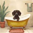 Bubble Bubble 2 Brown Dog Art Print