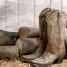 Kick Off Your Boots Art Print