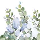 Blue Spring 1 Art Print