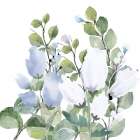 Blue Spring 2 Art Print