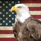 Old Glory Art Print