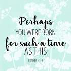 Born Art Print