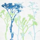 Spring Silhouette Floral 1 Art Print