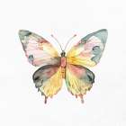 Watercolor Butterfly 1 Art Print