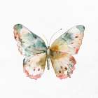 Watercolor Butterfly 2 Art Print