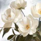 White Florals Art Print