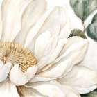 White Bloom Art Print
