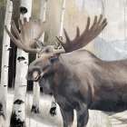 Mountain Walk 3 Art Print