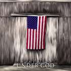 Red White And Blue One Nation Art Print