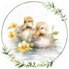 Duckling Swim Art Print