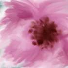 Pink Strokes 1 Art Print