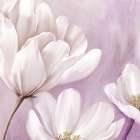 Plum Blooms 1 Art Print