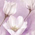 Plum Blooms 2 Art Print