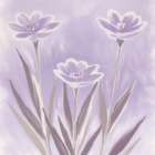 Plum Petals 2 Art Print