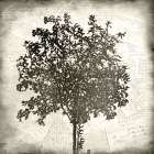 Tree Silhouette Black And White 2 Art Print